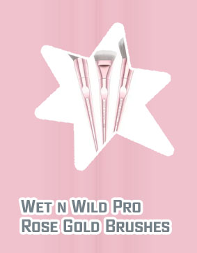 Wet n wild pro brush set